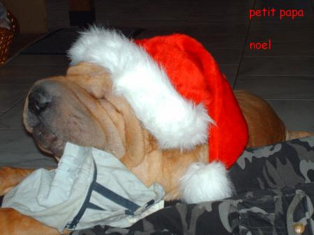 mon piti papa noel